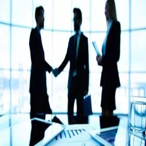 Servicios Profesionales